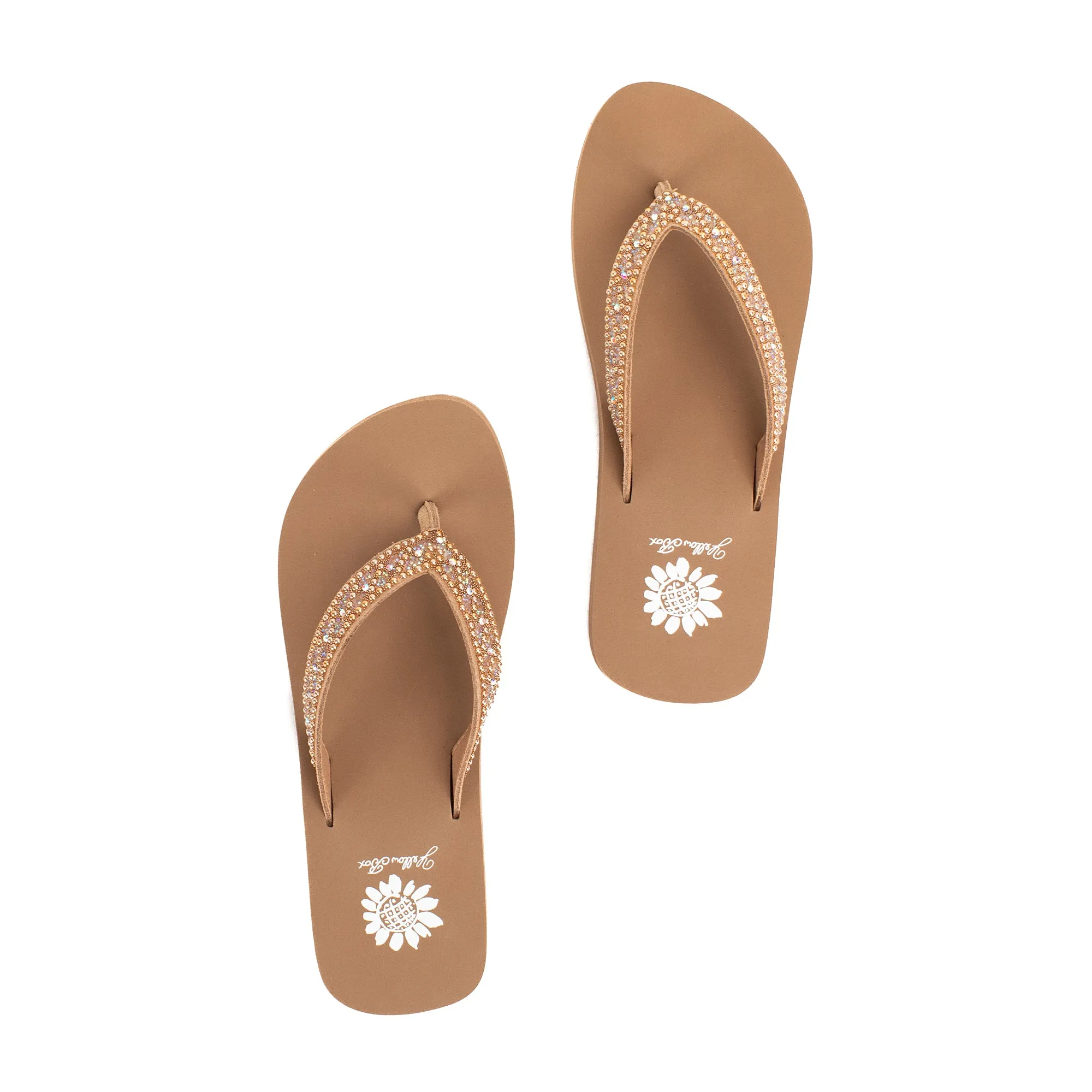 Jayne Sandal